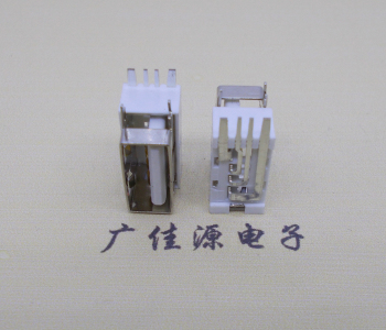 清溪镇USB侧立式短体10.0尺寸 侧插加宽脚5A大电流插座