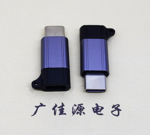 清溪镇Type-C母转Type-C公 USB3.1 PD100W快冲接口